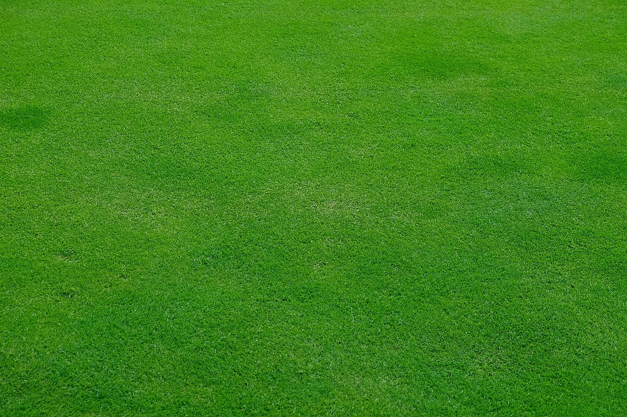 lawn mower grass