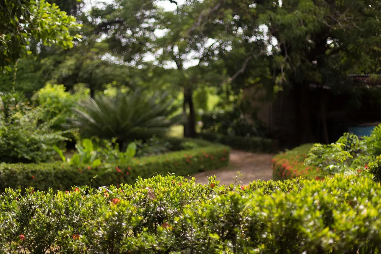 landscaped garden