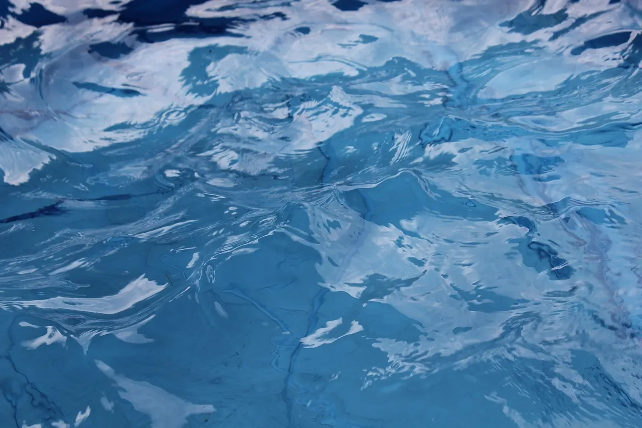 clean swimming pool backyard