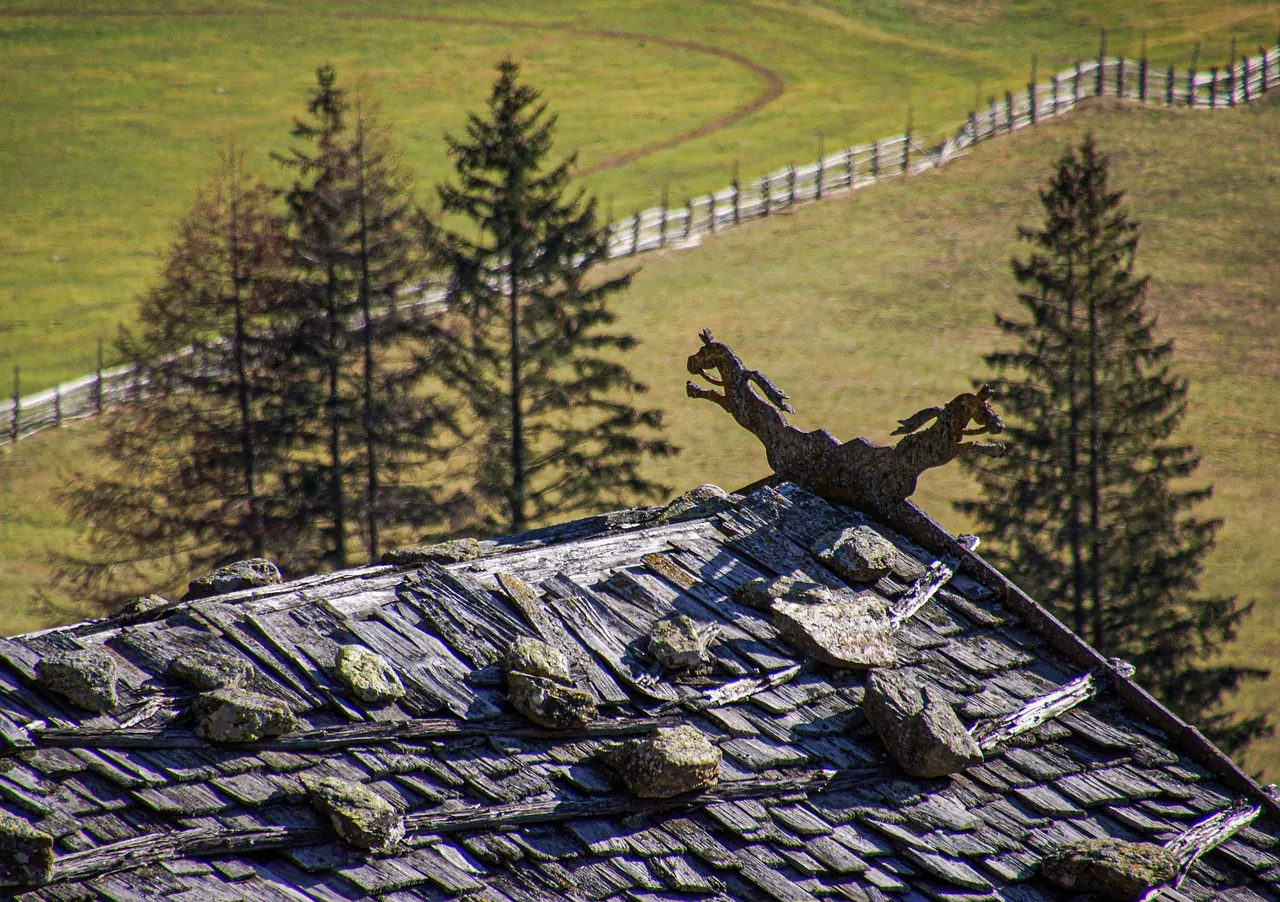 new roof shingles house